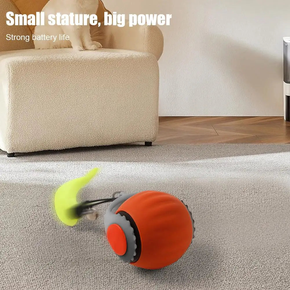 Interactive Cat Rolling Ball