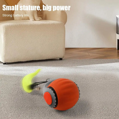 Interactive Cat Rolling Ball