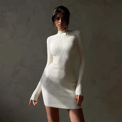 Turtleneck Mini Dress