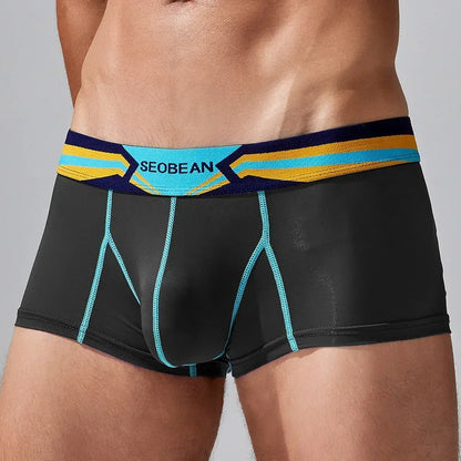 Sheer Nylon Boxers