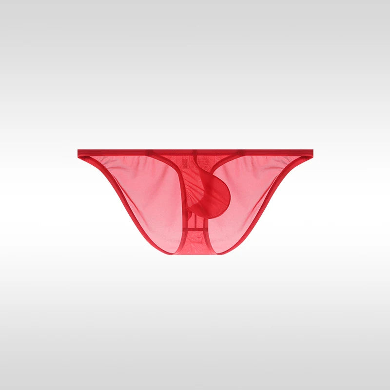 Solid Nylon Briefs