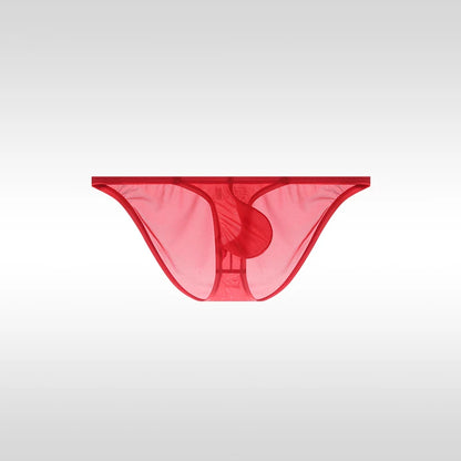 Solid Nylon Briefs