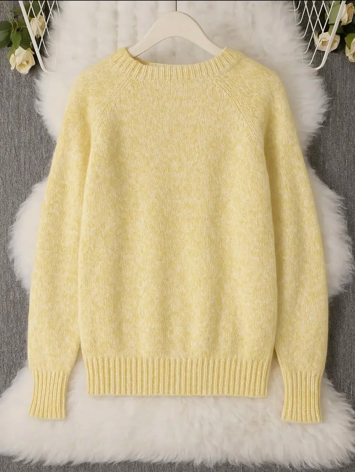 Solid Round Neck Knit Sweater