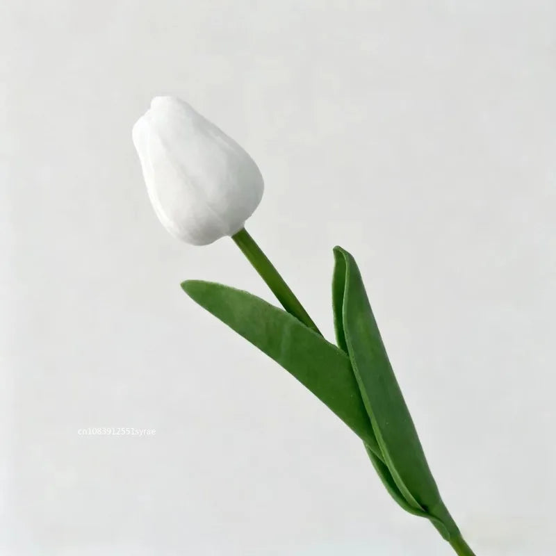 Premium Tulip Bouquet