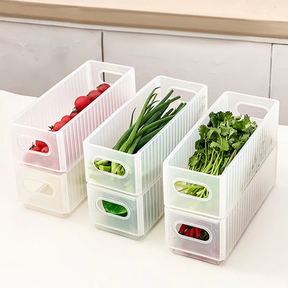 Plastic Modern Style Storage Organization