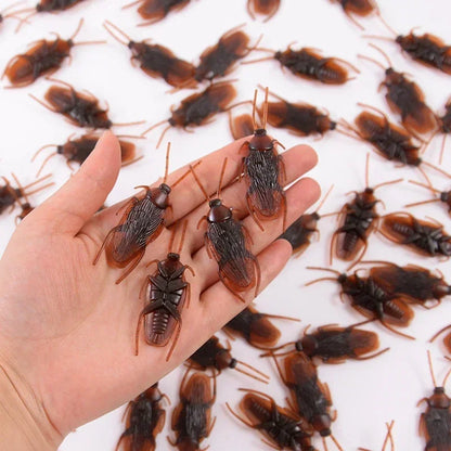 Fake Cockroach Prank Props