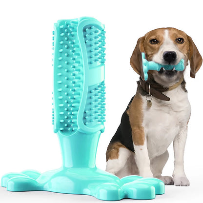 Large Dog Squeak Toy
