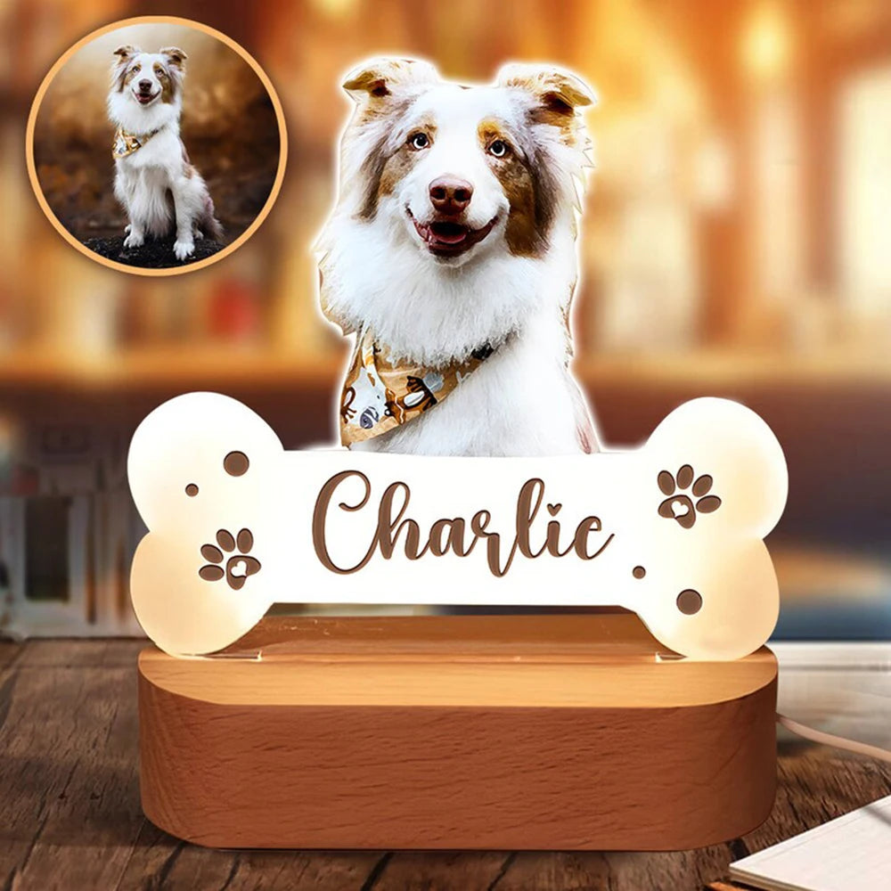 Custom Pet Photo Night Light