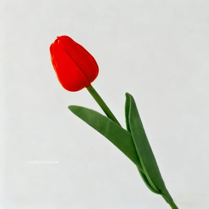 Premium Tulip Bouquet