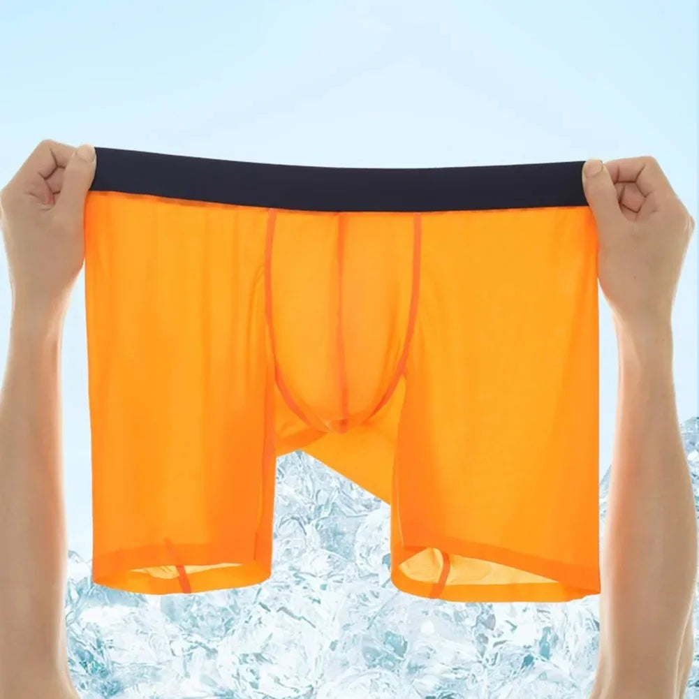 Solid Nylon Boxers