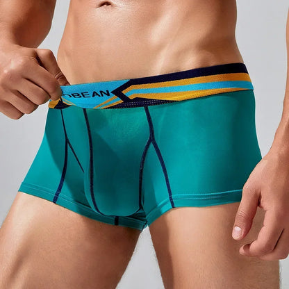 Sheer Nylon Boxers