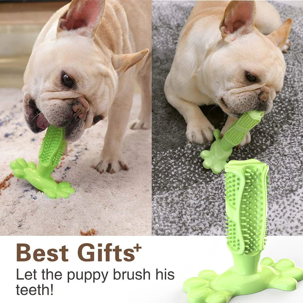 Large Dog Squeak Toy