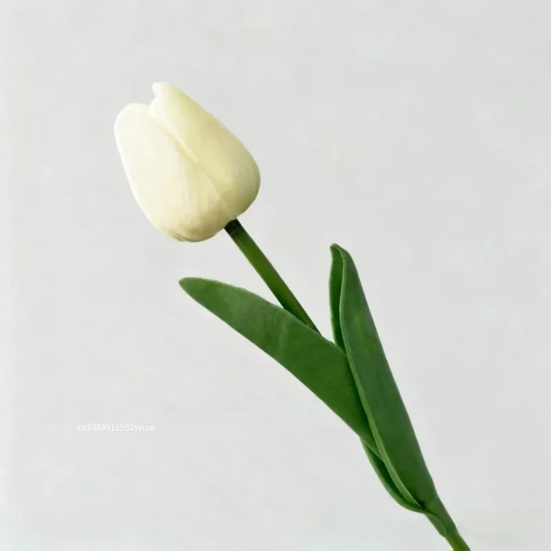 Premium Tulip Bouquet
