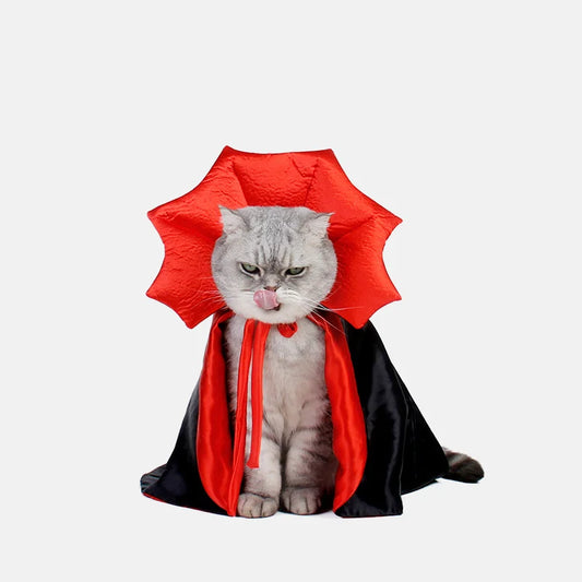 Cute Pet Halloween Costume