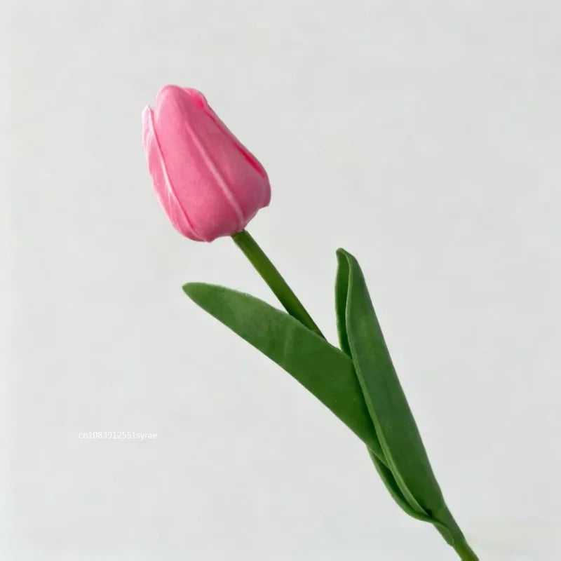 Premium Tulip Bouquet