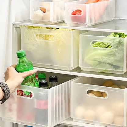 Plastic Modern Style Storage Organization
