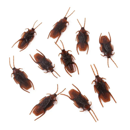 Fake Cockroach Prank Props