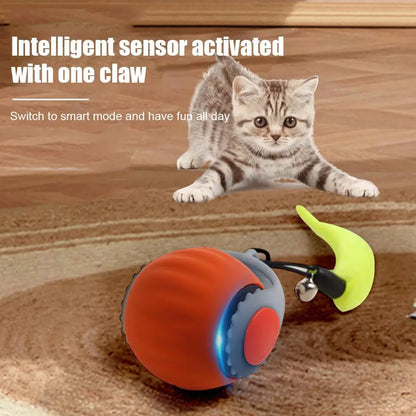 Interactive Cat Rolling Ball