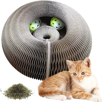 Kitten Curl Foldable Toy