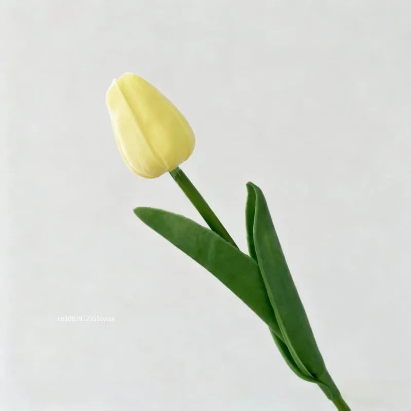 Premium Tulip Bouquet