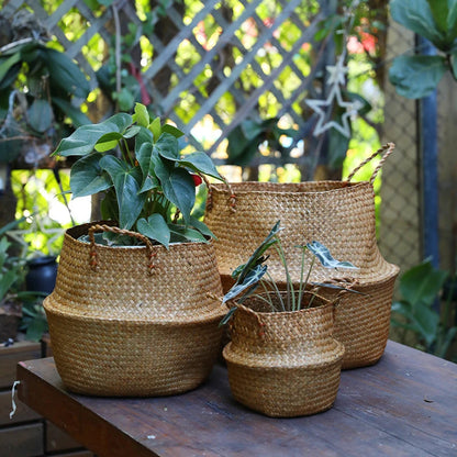 Wicker Foldable Picnic Basket Zerolife