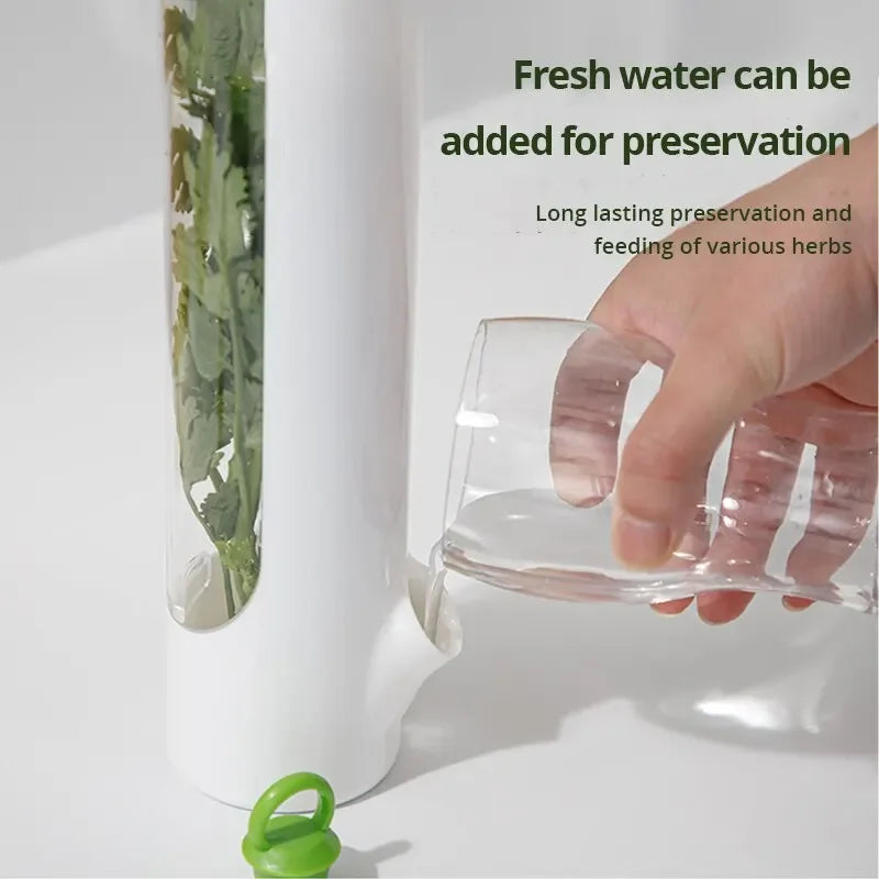 Fridge Herb Storage Container