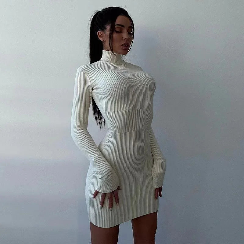 Turtleneck Mini Dress