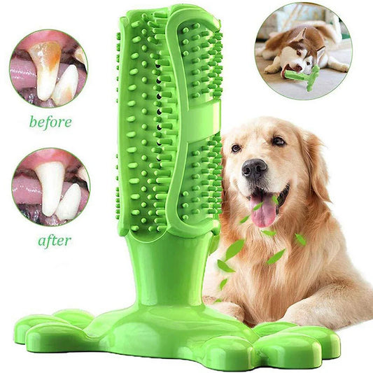 Large Dog Squeak Toy