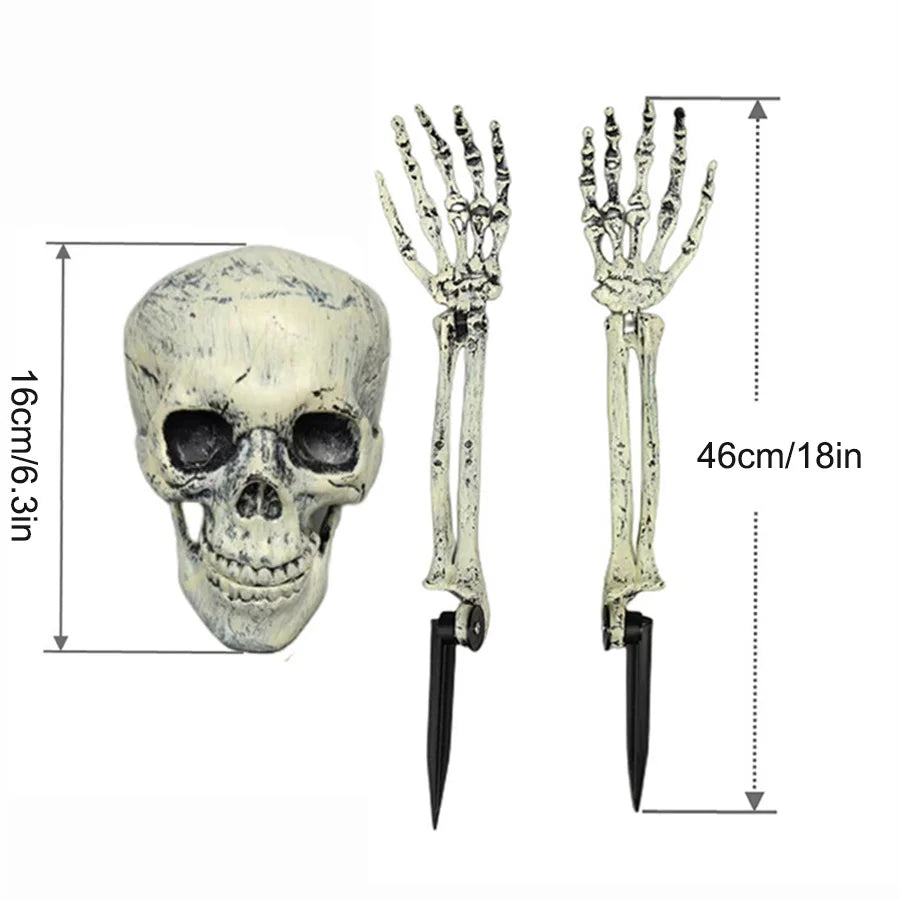 Skeleton Head and Arm Props
