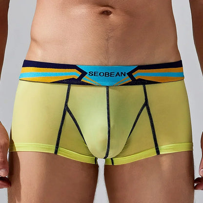Sheer Nylon Boxers