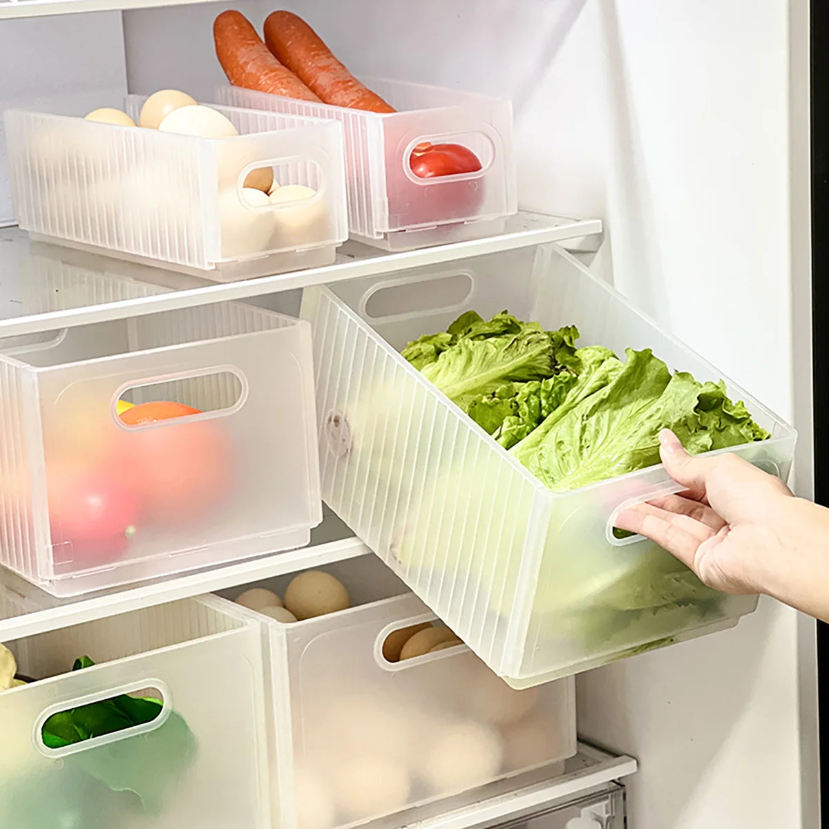 Plastic Modern Style Storage Organization