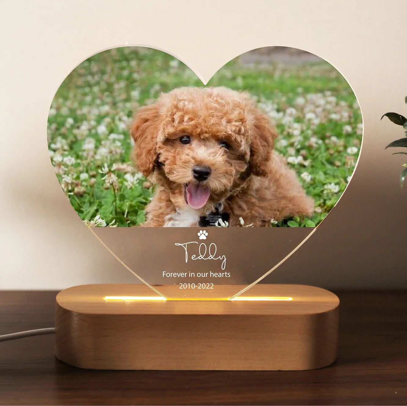 Personalized Heart Pet Frame