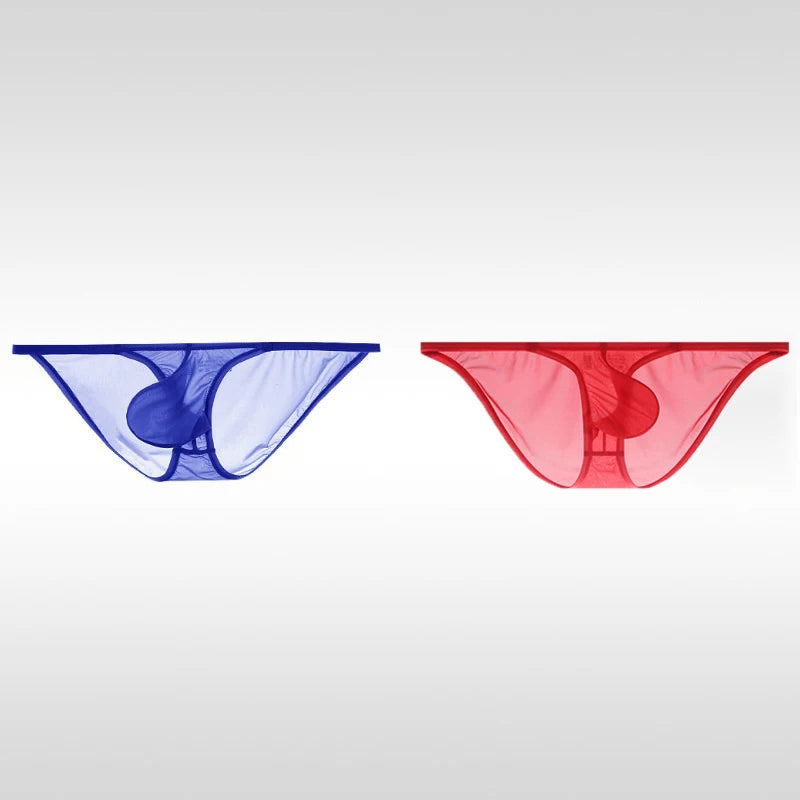 Solid Nylon Briefs
