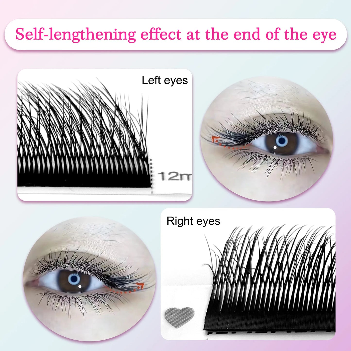 5D W Shape Eyelashes