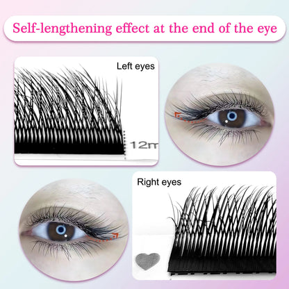 5D W Shape Eyelashes