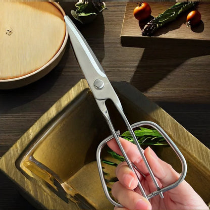 Stainless Steel Grill Scissors All
