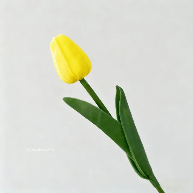 Premium Tulip Bouquet
