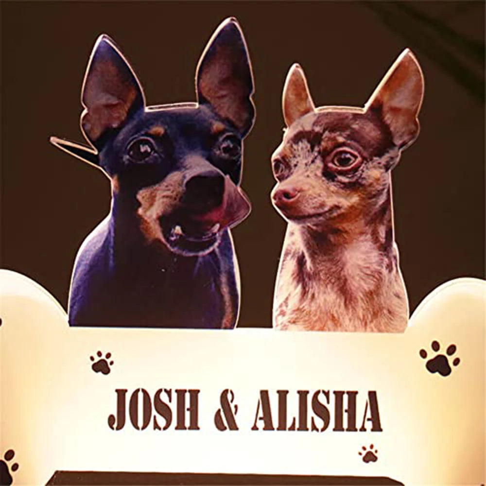 Custom Pet Photo Night Light