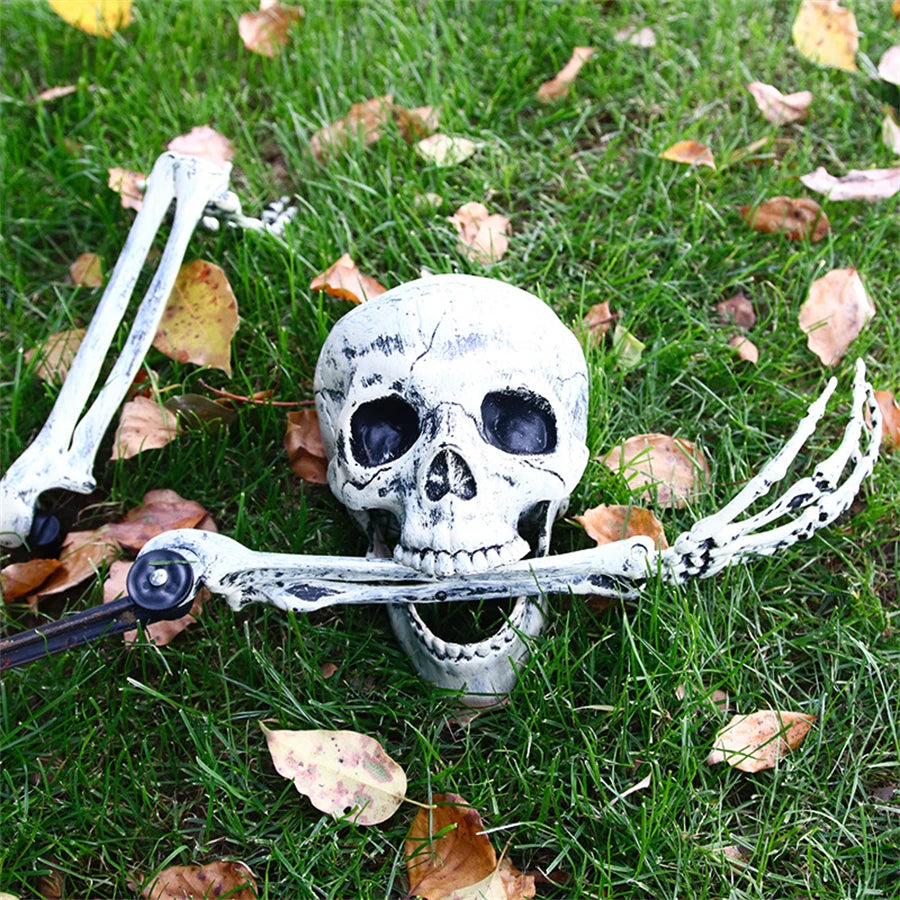 Skeleton Head and Arm Props