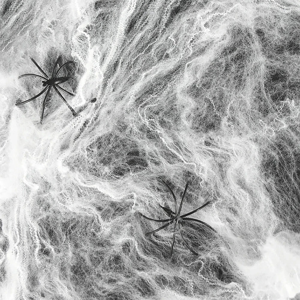 Artificial Spider Web For Halloween