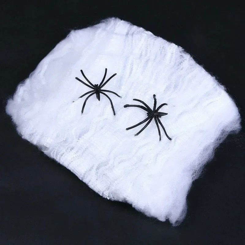 Stretchy Spider Web Decoration