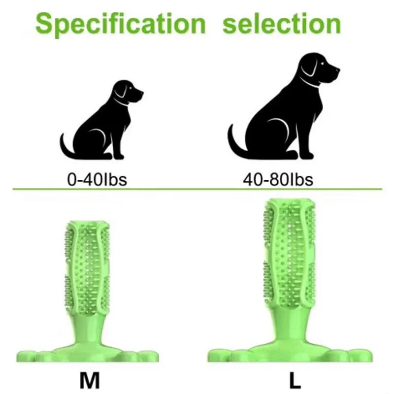 Large Dog Squeak Toy