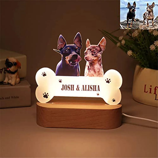 Custom Pet Photo Night Light
