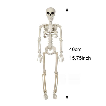 Halloween Posable Skeleton Decoration