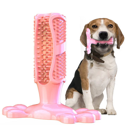 Large Dog Squeak Toy