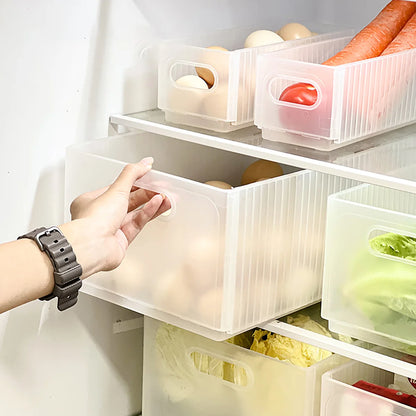 Plastic Modern Style Storage Organization