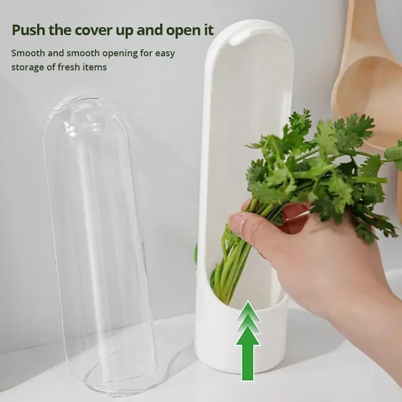 Fridge Herb Storage Container