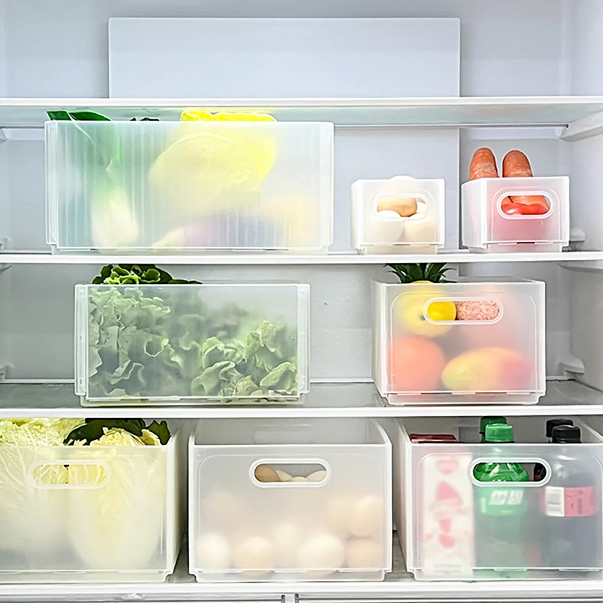 Plastic Modern Style Storage Organization