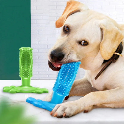 Large Dog Squeak Toy