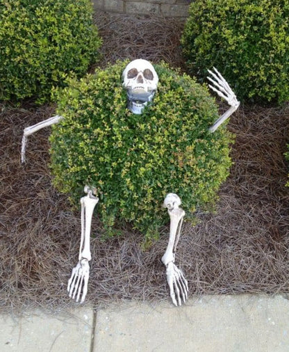 Halloween Skeleton Stakes